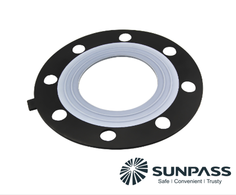 The Italian customersr Ordered EPDM PTFE Gasket From TOP-SEALING.