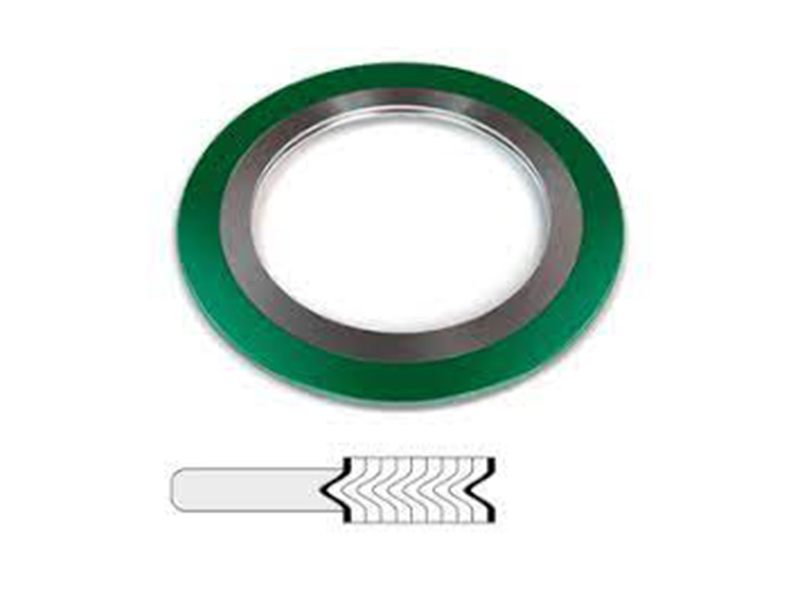 Spiral Wound Gasket with Outer Ring