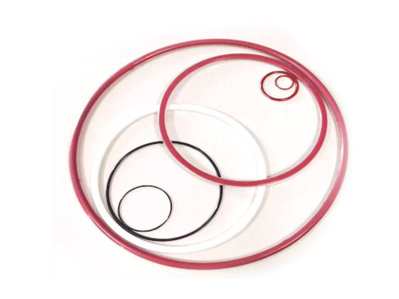 PTFE Encapsulated Orings